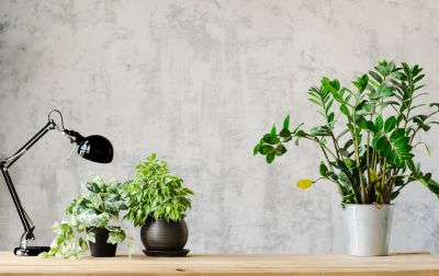 Kitchen Wallpaper Installation in Littleton, CO
