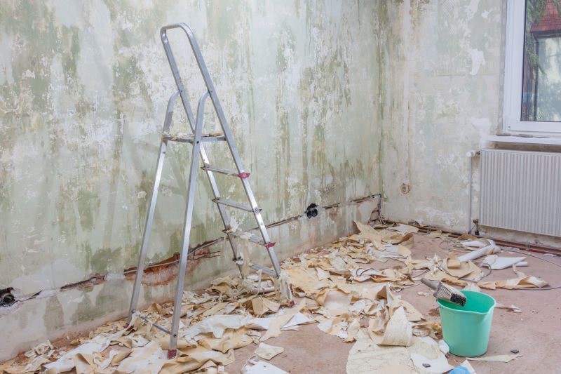 Wallpaper Removal Service in Denver County, CO